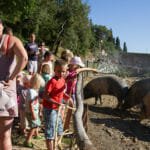 Agriturismo Montalbino – Montespertoli