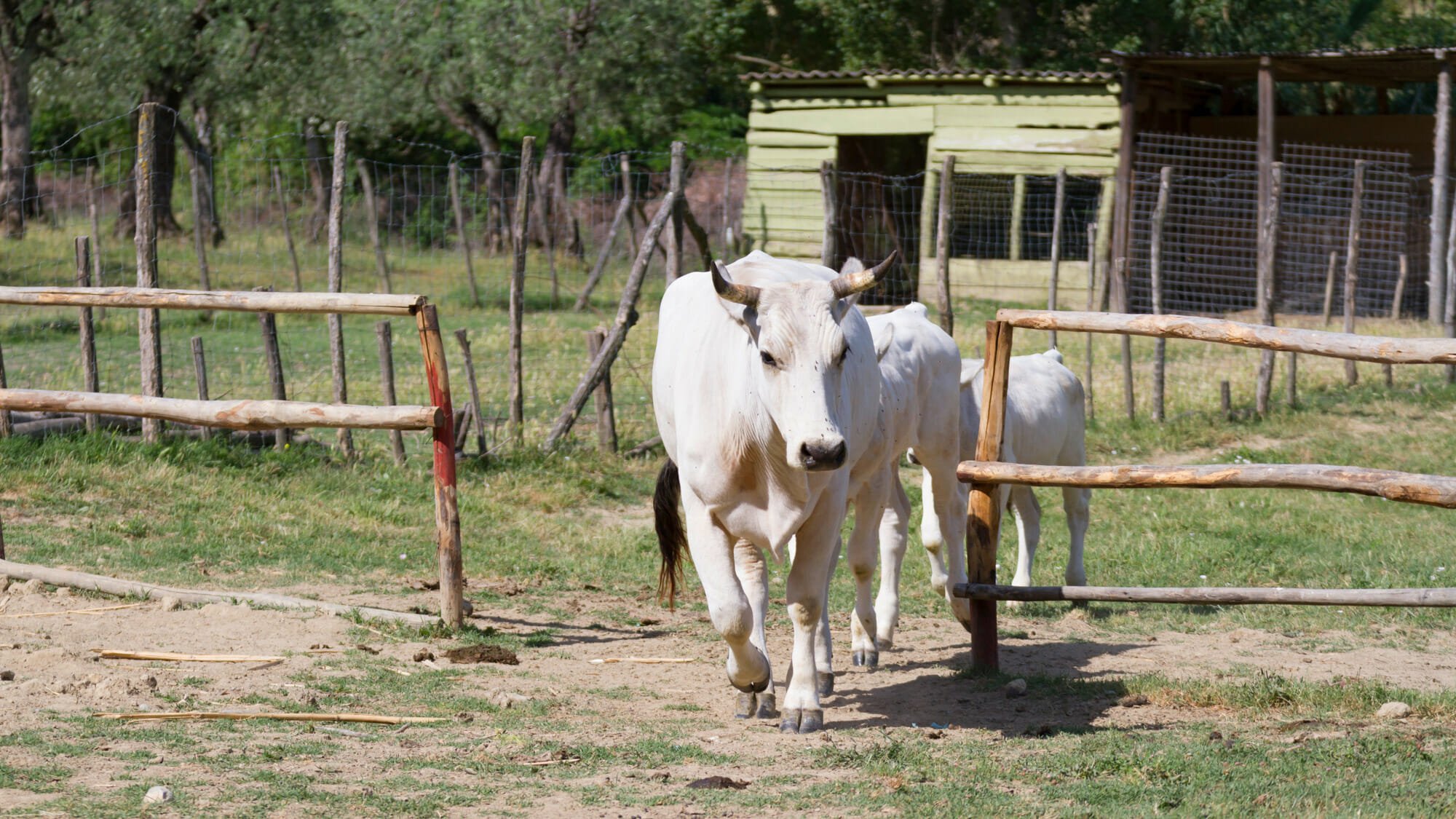 Agriturismo Montalbino – Montespertoli