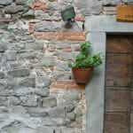 Agriturismo Ristoro del Cavaliere – Piazza al Serchio