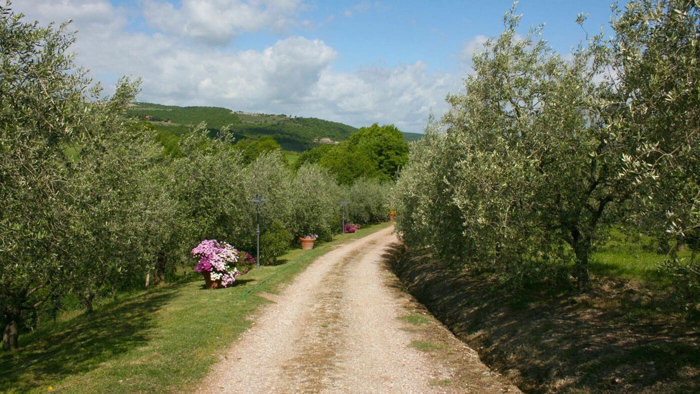 Villa Casa Bella – Torrita di Siena