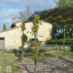 Villa Alba Cafaggiola – San Gimignano