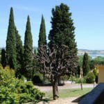 Villa Poggio Falcone – Castiglion del Lago
