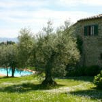 Villa San Lorenzo – Monte San Savino