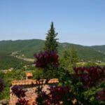 Villa Torre di Vignale – Palazzo del Pero*
