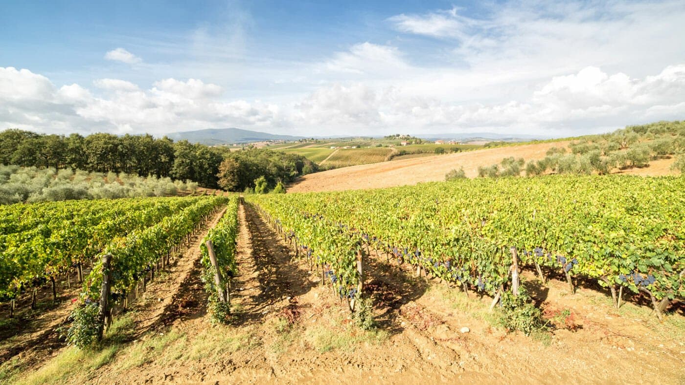 Agriturismo il Poderino – Siena