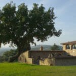 Villa le Fontanelle – Monticchiello