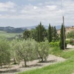 Agriturismo Casa al Bosco – Volterra