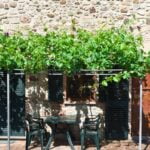 Agriturismo Casa al Bosco – Volterra