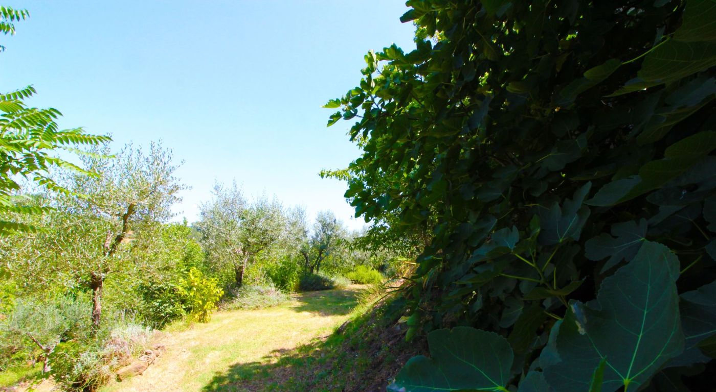Villa Gioiosa – Monte San Savino