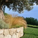 Villa Terra del Sole – Licata