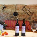 Villa Il Viaggiolo – Foiano della Chiana