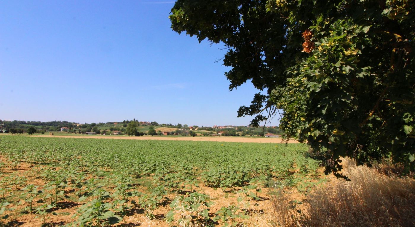 Villa Il Viaggiolo – Foiano della Chiana