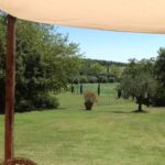 Villa Malvasia – Civitella in Valdichiana