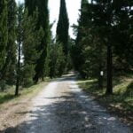 Podere della Crocchia – Civitella in Val di Chiana