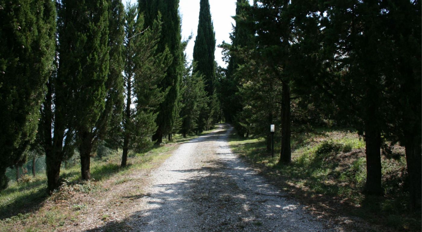 Podere della Crocchia – Civitella in Val di Chiana
