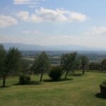 Podere della Crocchia – Civitella in Val di Chiana