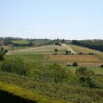 Villa Cerretini – Montepulciano