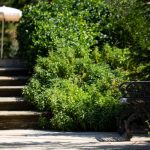 Villa Casale il Trecento – Castiglion Fiorentino