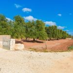 Villa Trullo Luzzi – San Michelo Salentino